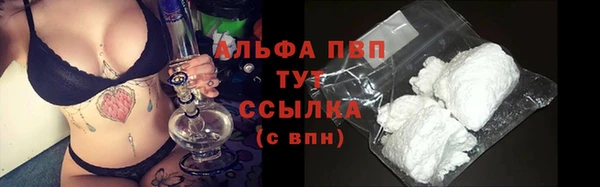Альфа ПВП Краснослободск