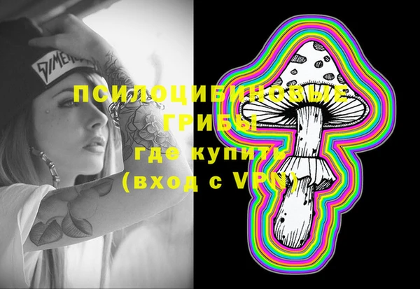 apvp Коряжма