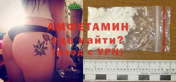 прущие грибы Краснотурьинск