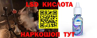 Альфа ПВП Новозыбков