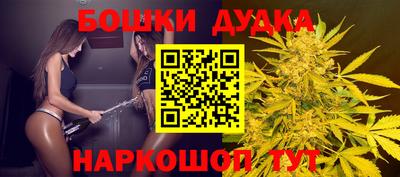 Альфа ПВП Новозыбков