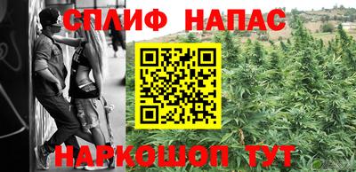 гидра Новокубанск