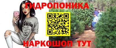 сатива Апшеронск