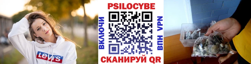 магазин  наркотиков  Сунжа  Галлюциногенные грибы Cubensis 