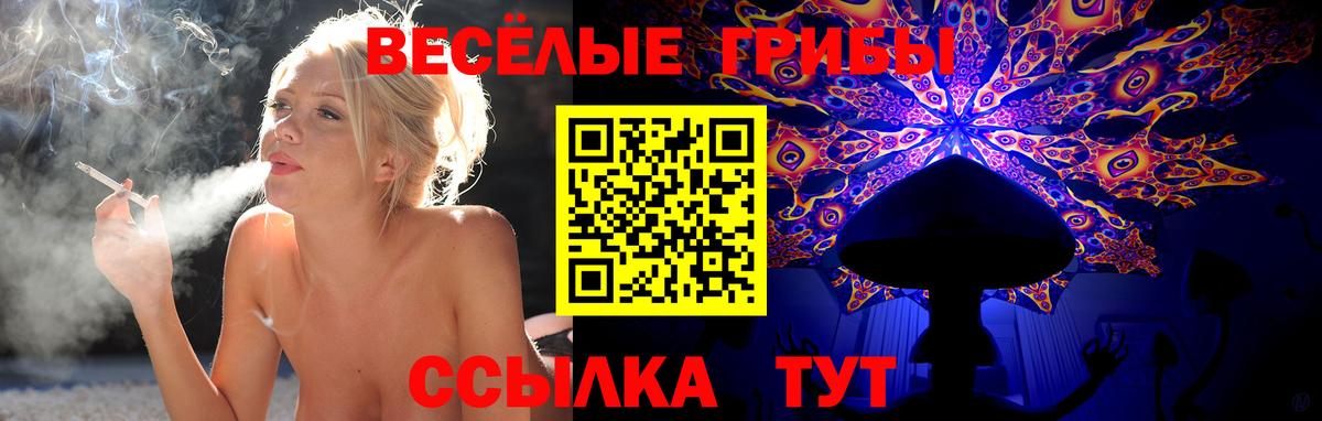 Псилоцибиновые грибы мухоморы Сунжа