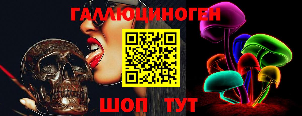 даркнет сайт  Сунжа  Галлюциногенные грибы Cubensis 