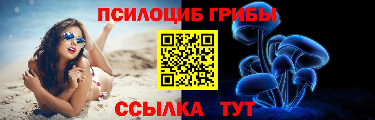 Галлюциногенные грибы прущие грибы  Вход с VPN  Сунжа 